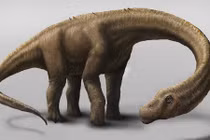 Những điều đáng kinh ngạc về 10 loài khủng long lớn nhất