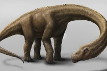 Những điều đáng kinh ngạc về 10 loài khủng long lớn nhất