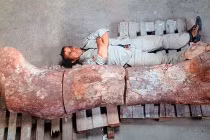 Ngắm bộ hài cốt khủng long khủng, nặng 77 tấn