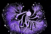 Mê mẩn với hình ảnh đầy nghệ thuật của vi khuẩn 