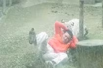 Sợ khiếp vía xem hổ trắng tấn công người