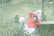 Sợ khiếp vía xem hổ trắng tấn công người