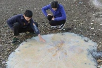 Phát hiện "giọt nước" khổng lồ di chuyển trong đại dương