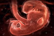 Khám phá khoa học đáng kinh ngạc về trái tim (1)