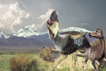 Những quái chim khát máu thời tiền sử