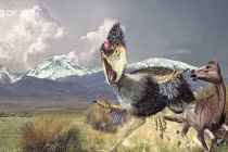 Những quái chim khát máu thời tiền sử