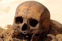 Điểm những phát hiện xương ma cà rồng gây sốc nhất