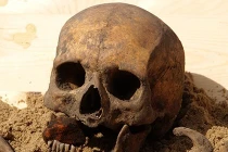 Điểm những phát hiện xương ma cà rồng gây sốc nhất