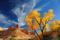 Những bức ảnh thiên nhiên đẹp đến nghẹt thở