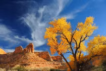 Những bức ảnh thiên nhiên đẹp đến nghẹt thở