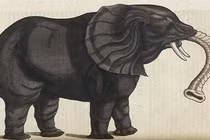 Ảnh gây kinh ngạc về động vật từ thế kỷ 16 (1)