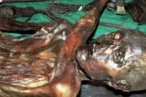 Top khám phá kỳ quái nhất trong các tảng băng