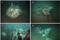 Nghĩa địa của thủy quái khổng lồ dưới đại dương