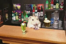 Những chú chuột nổi tiếng như cồn vì làm bartender 