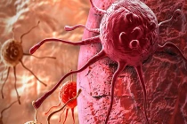 Top câu hỏi khoa học đau đầu nhất thời đại (1)