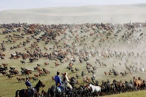 Choáng ngợp hàng nghìn chiến mã bay trên đồng cỏ