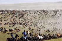 Choáng ngợp hàng nghìn chiến mã bay trên đồng cỏ