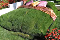 Top phát minh vì môi trường xanh “độc, dị” nhất