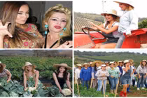 Thị trấn toàn gái đẹp, khát khao lấy chồng bằng được