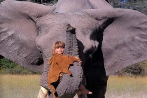 Cô bé 10 năm sống chung với quái thú