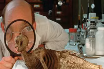 Những cú lừa khoa học gây sốc nhất (2)