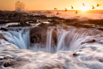 Cảnh đẹp đến nghẹt thở nơi rừng giao với biển