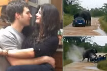 8 vụ dã thú tấn công người ghê rợn nhất