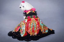 Ngắm chó nhà đại gia diện thời trang cao cấp