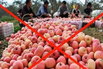 Soi thành phần gây vô sinh trong hoa quả Trung Quốc