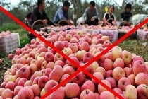 Soi thành phần gây vô sinh trong hoa quả Trung Quốc