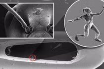 Tác phẩm điêu khắc độc, lạ bằng... nửa sợi tóc người