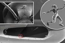 Tác phẩm điêu khắc độc, lạ bằng... nửa sợi tóc người