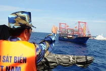 Tàu Trung Quốc ngang nhiên đánh cá trong ngư trường Việt Nam