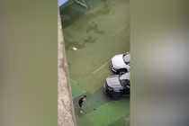 Trưởng ban quản trị chung cư Hancorp Plaza “múa golf” giữa mùa dịch