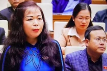 ĐBQH Vũ Thị Lưu Mai: Lấy phiếu tín nhiệm cần thiết thực, tránh hình thức