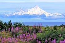 Đầu tháng 9: Vận may ập đến, 3 con giáp có tài lộc tăng mạnh