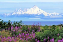 Đầu tháng 9: Vận may ập đến, 3 con giáp có tài lộc tăng mạnh