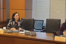 ĐBQH Trương Thị Mai: “Không tính đúng, tính đủ...thì người ta có nhận phong bì không?"