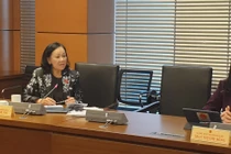 ĐBQH Trương Thị Mai: “Không tính đúng, tính đủ...thì người ta có nhận phong bì không?"
