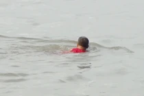 Tập thể dục giữa COVID-19, nhảy sông khi gặp công an vì sợ bị phạt