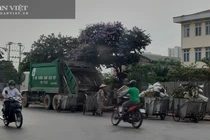 Công ty môi trường gây ô nhiễm môi trường giữa Thủ đô Hà Nội