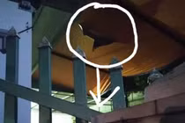 Xót xa bé trai 4 tuổi rơi từ tầng 2 xuống đất tử vong