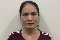 Bắt cán bộ Tổng cục Đường bộ Việt Nam cấp sai thẻ luồng xanh