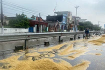 Nông dân Hải Hậu “khóc ròng” vì thóc lúa phơi ngoài đường ngập ngụa trong mưa