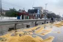 Nông dân Hải Hậu “khóc ròng” vì thóc lúa phơi ngoài đường ngập ngụa trong mưa