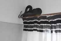 Rùng mình với cảnh rắn độc hơn 2 mét núp trên rèm cửa