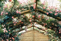 Trang trí nhà đẹp lung linh chẳng khác gì quán cafe