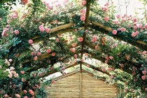 Trang trí nhà đẹp lung linh chẳng khác gì quán cafe