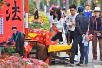 Thích thú với Lễ hội hoa xuân lớn nhất miền Bắc 2017