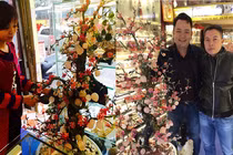 Cận cảnh đào đá quý trăm triệu độc nhất vô nhị ở Hà Nội